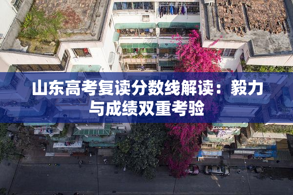 山东高考复读分数线解读：毅力与成绩双重考验