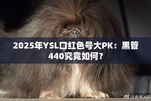 2025年YSL口红色号大PK：黑管440究竟如何？
