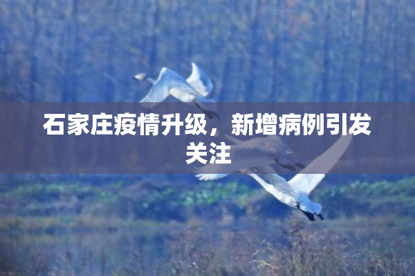 石家庄疫情升级，新增病例引发关注