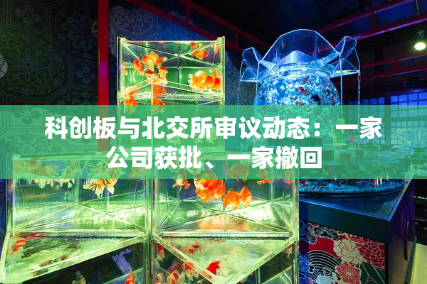 科创板与北交所审议动态：一家公司获批、一家撤回