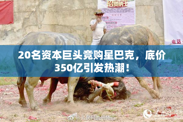 20名资本巨头竞购星巴克，底价350亿引发热潮！