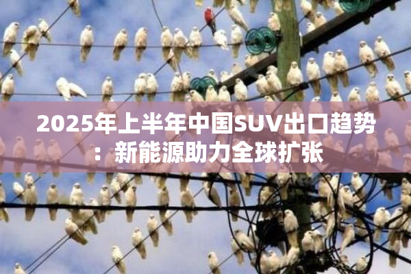 2025年上半年中国SUV出口趋势：新能源助力全球扩张