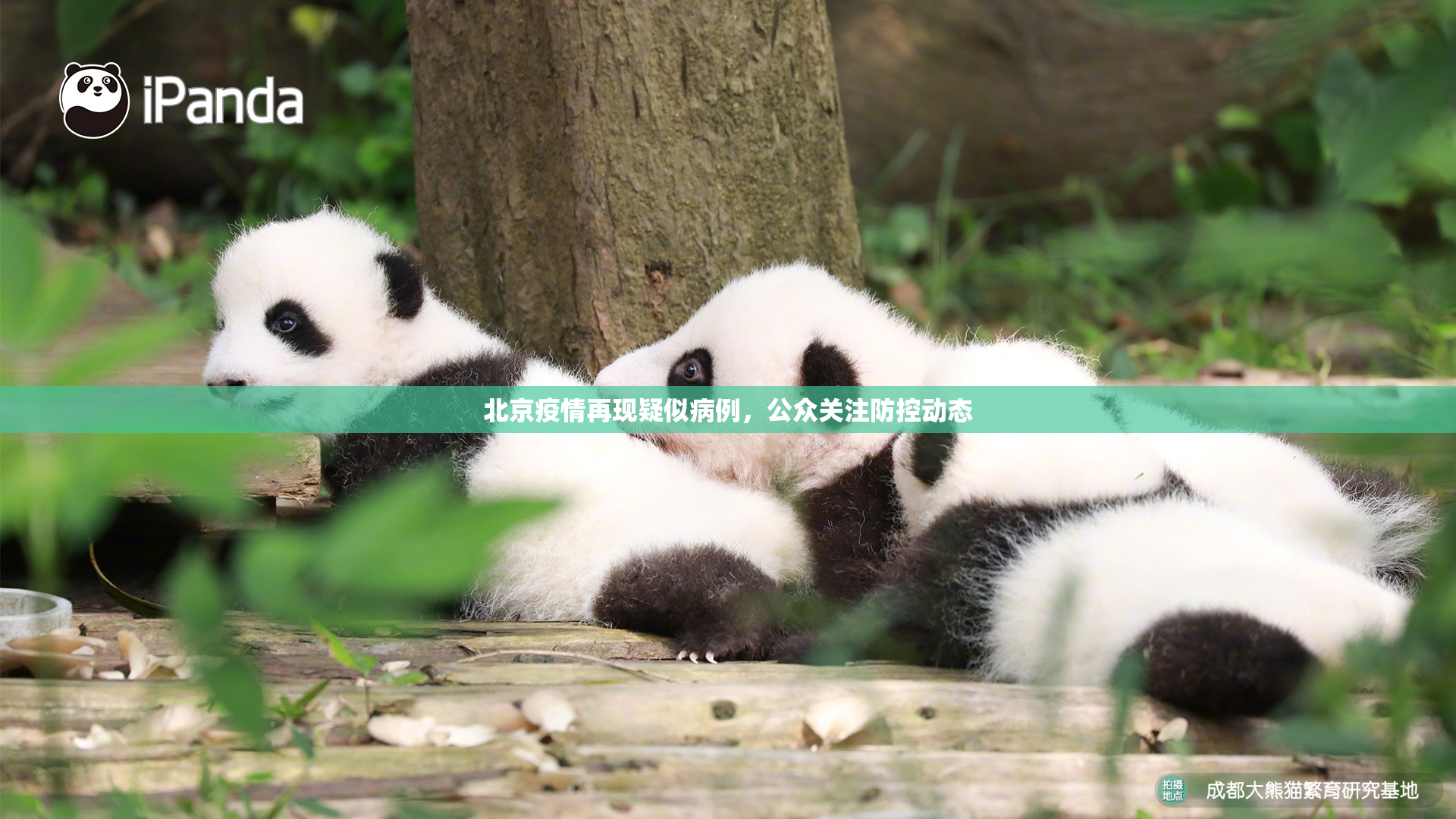 北京疫情再现疑似病例，公众关注防控动态
