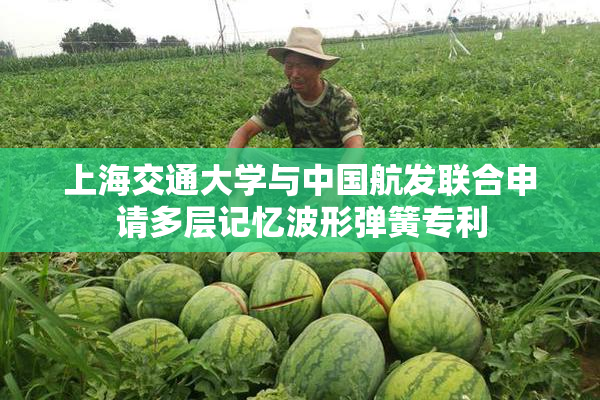 上海交通大学与中国航发联合申请多层记忆波形弹簧专利