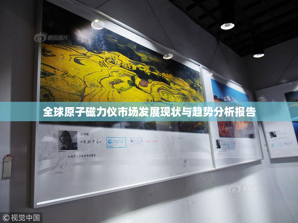 全球原子磁力仪市场发展现状与趋势分析报告