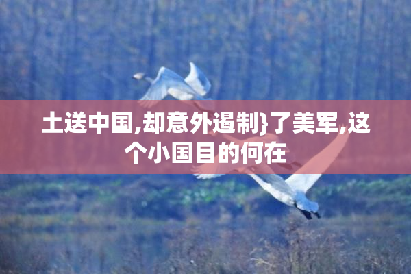 土送中国,却意外遏制}了美军,这个小国目的何在