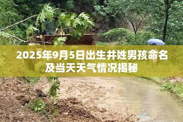 2025年9月5日出生井姓男孩命名及当天天气情况揭秘