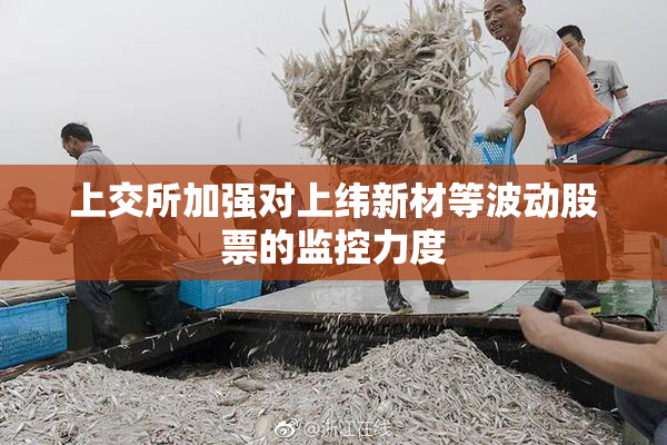 上交所加强对上纬新材等波动股票的监控力度