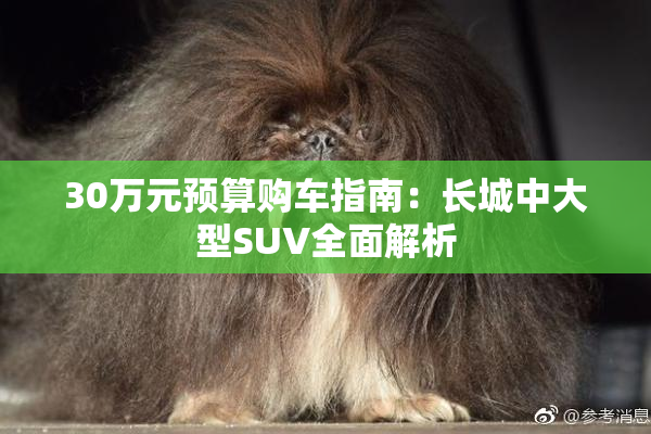 30万元预算购车指南：长城中大型SUV全面解析