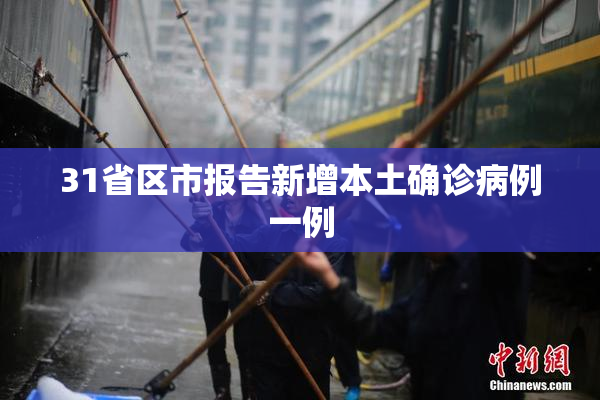 31省区市报告新增本土确诊病例一例