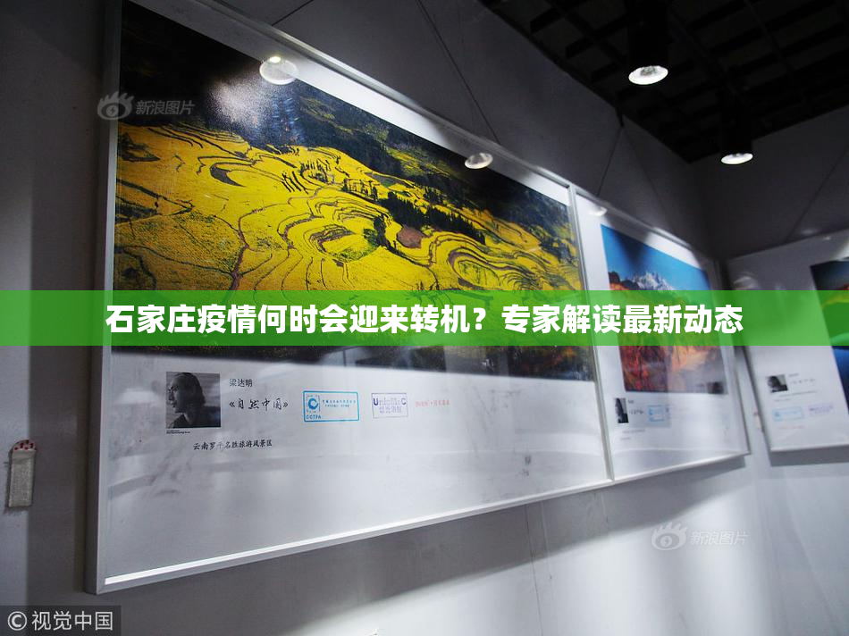 石家庄疫情何时会迎来转机？专家解读最新动态