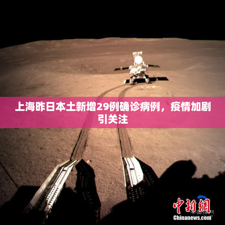 上海昨日本土新增29例确诊病例，疫情加剧引关注