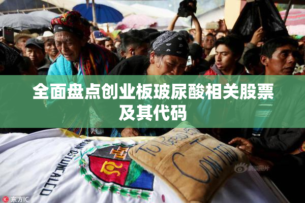 全面盘点创业板玻尿酸相关股票及其代码