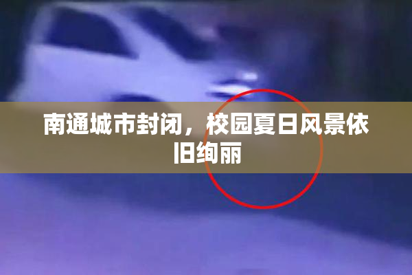 南通城市封闭，校园夏日风景依旧绚丽