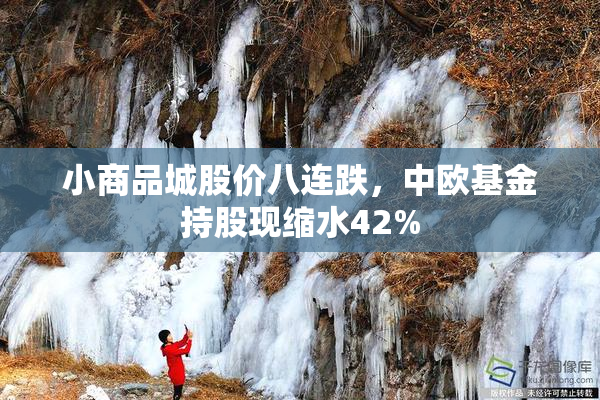 小商品城股价八连跌，中欧基金持股现缩水42%