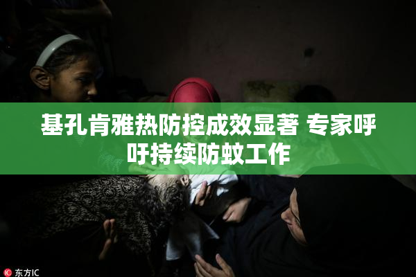 基孔肯雅热防控成效显著 专家呼吁持续防蚊工作