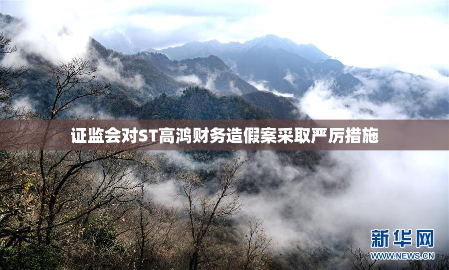 证监会对ST高鸿财务造假案采取严厉措施