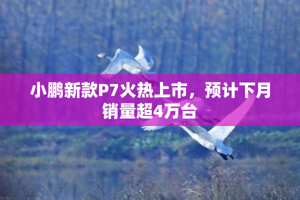 小鹏新款P7火热上市，预计下月销量超4万台