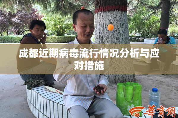 成都近期病毒流行情况分析与应对措施