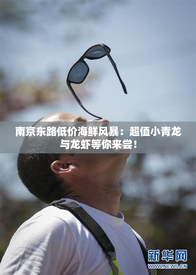 南京东路低价海鲜风暴：超值小青龙与龙虾等你来尝！
