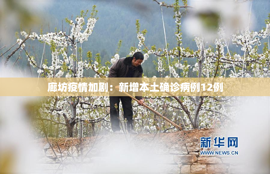 廊坊疫情加剧：新增本土确诊病例12例