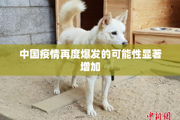 中国疫情再度爆发的可能性显著增加