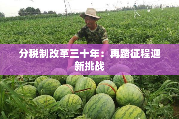 分税制改革三十年：再踏征程迎新挑战