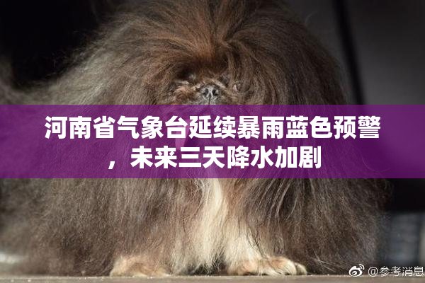 河南省气象台延续暴雨蓝色预警，未来三天降水加剧