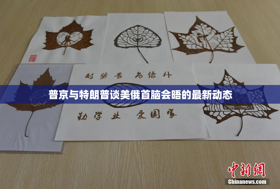 普京与特朗普谈美俄首脑会晤的最新动态