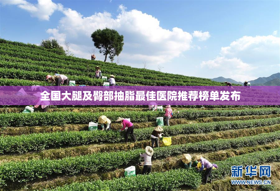 全国大腿及臀部抽脂最佳医院推荐榜单发布