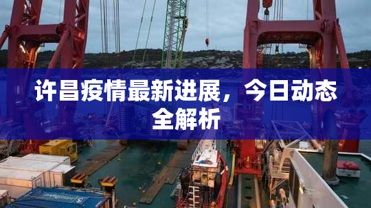 许昌疫情最新进展，今日动态全解析