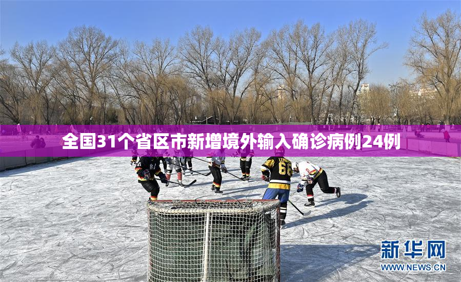 全国31个省区市新增境外输入确诊病例24例