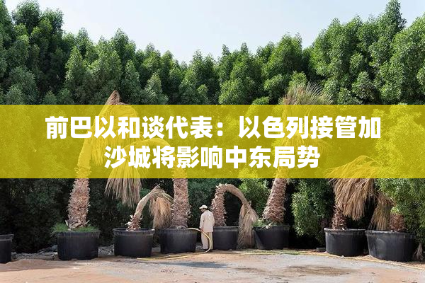 前巴以和谈代表：以色列接管加沙城将影响中东局势
