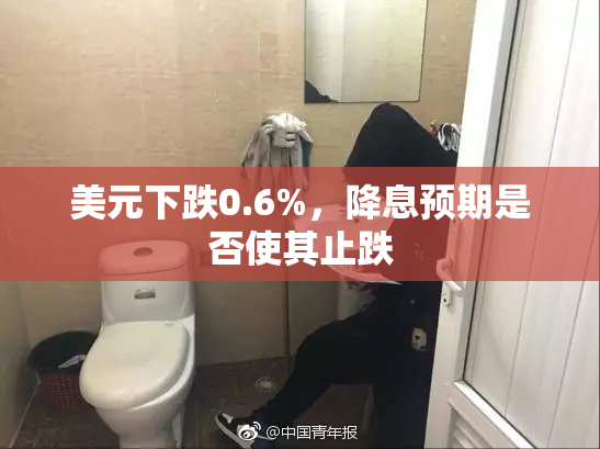 美元下跌0.6%，降息预期是否使其止跌