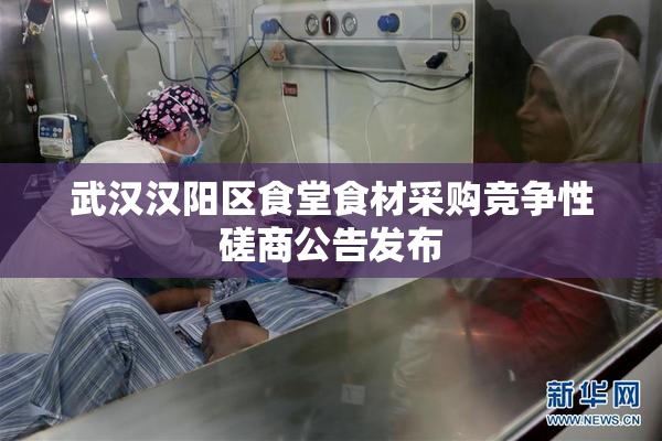 武汉汉阳区食堂食材采购竞争性磋商公告发布