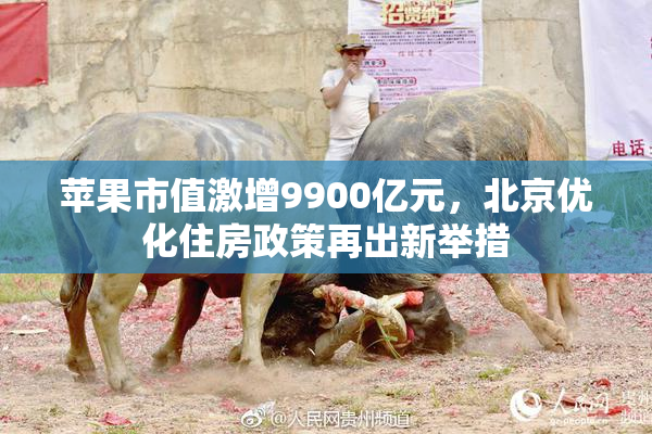 苹果市值激增9900亿元，北京优化住房政策再出新举措