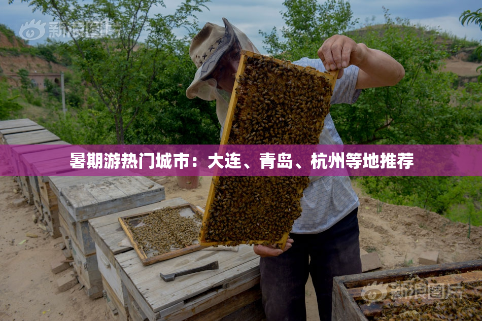 暑期游热门城市：大连、青岛、杭州等地推荐