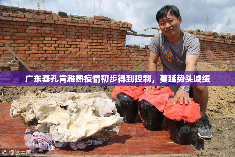 广东基孔肯雅热疫情初步得到控制，蔓延势头减缓