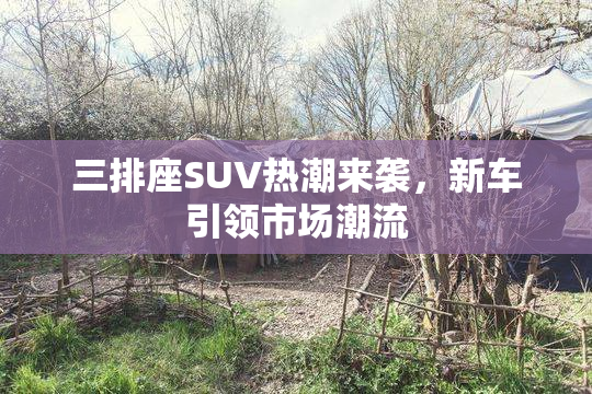 三排座SUV热潮来袭，新车引领市场潮流
