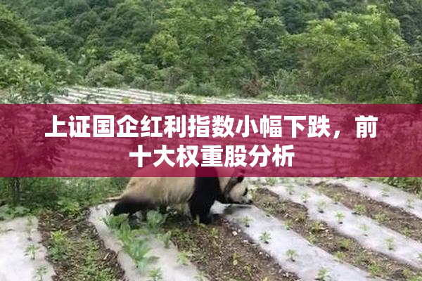 上证国企红利指数小幅下跌，前十大权重股分析