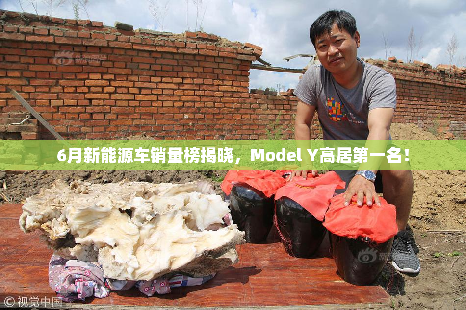 6月新能源车销量榜揭晓，Model Y高居第一名！