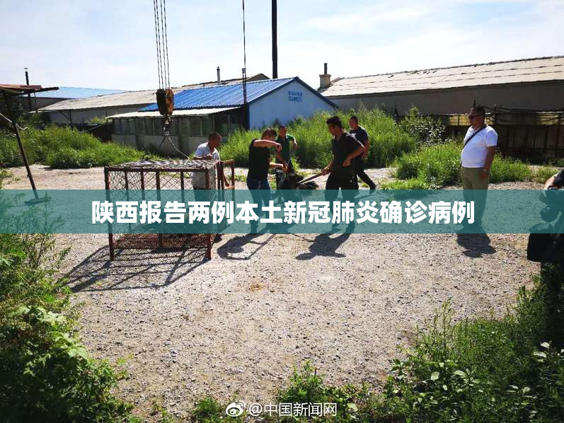 陕西报告两例本土新冠肺炎确诊病例
