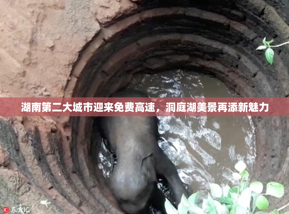 湖南第二大城市迎来免费高速，洞庭湖美景再添新魅力