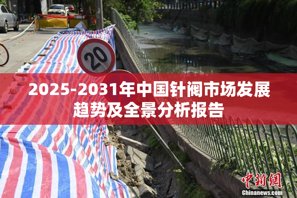 2025-2031年中国针阀市场发展趋势及全景分析报告