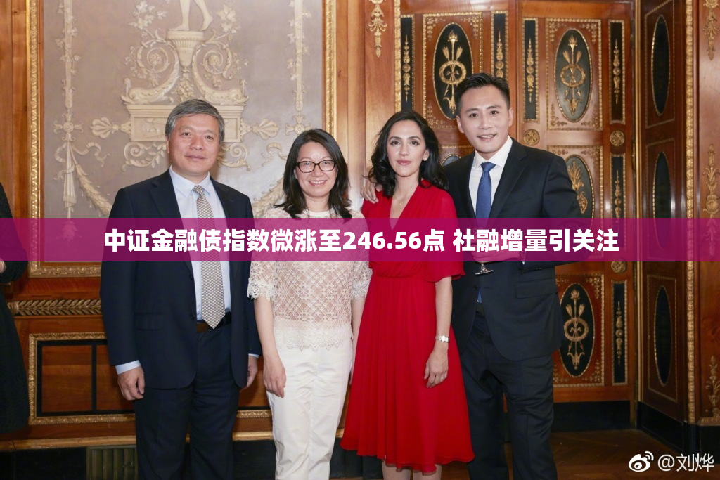 中证金融债指数微涨至246.56点 社融增量引关注