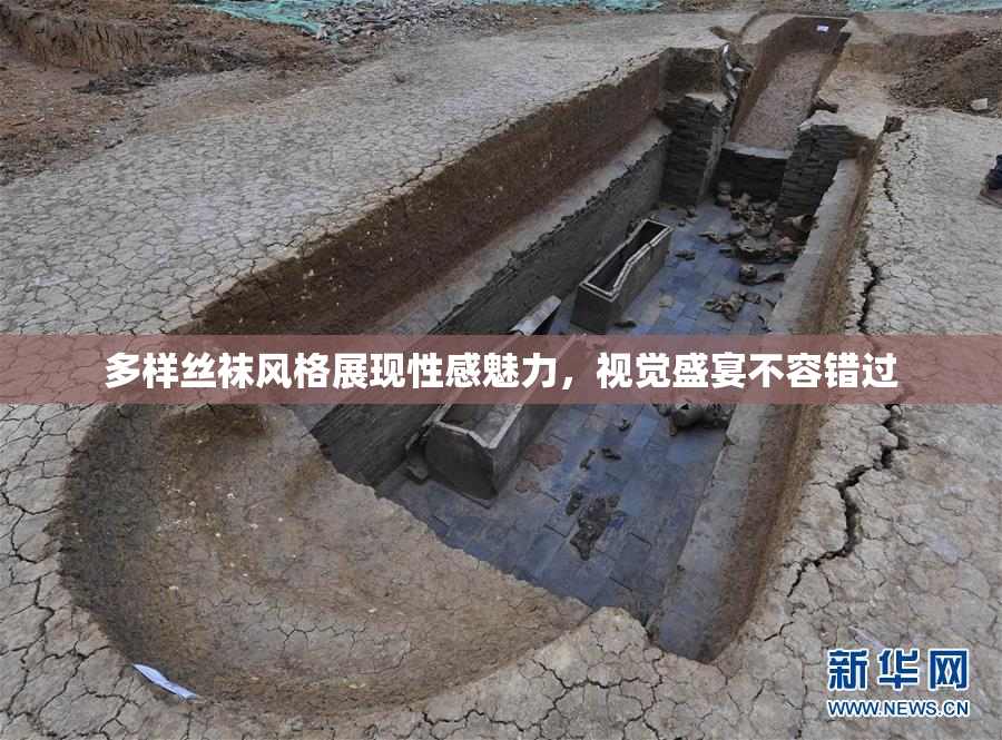 多样丝袜风格展现性感魅力，视觉盛宴不容错过