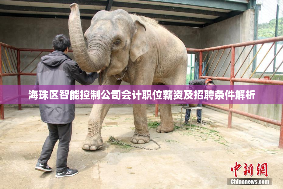 海珠区智能控制公司会计职位薪资及招聘条件解析