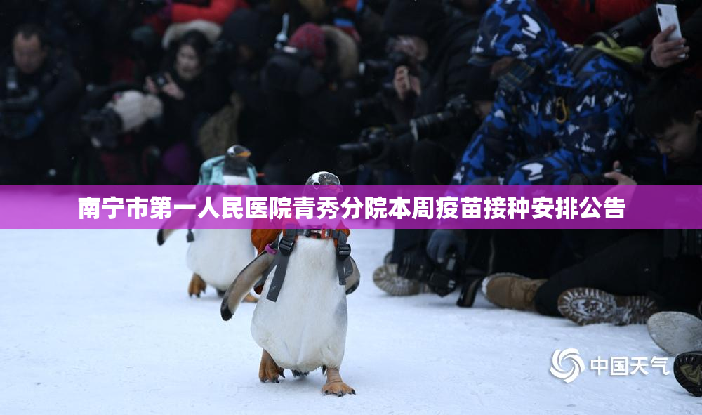 南宁市第一人民医院青秀分院本周疫苗接种安排公告