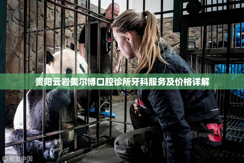 贵阳云岩美尔博口腔诊所牙科服务及价格详解