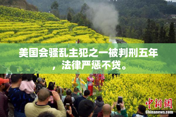 美国会骚乱主犯之一被判刑五年，法律严惩不贷。